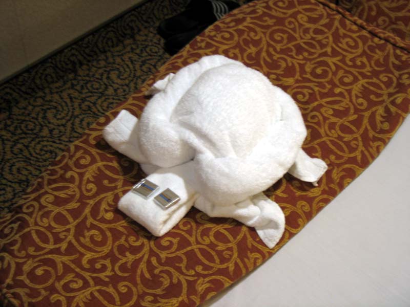 421 turtle towel.jpg